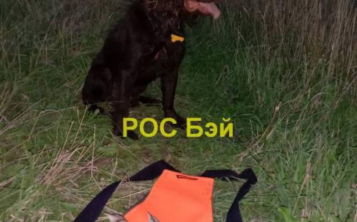 РОС Бэй